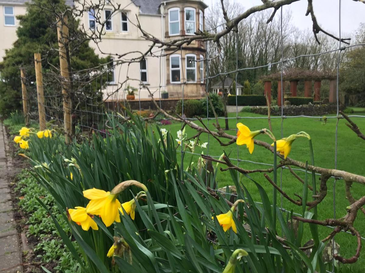 Holywell House B & B Evershot  Exterior foto